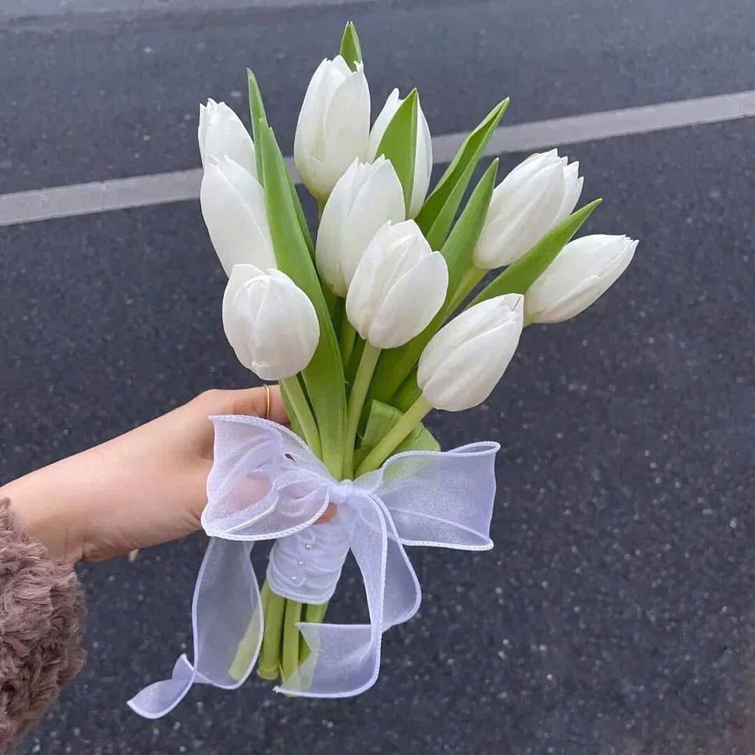 C12 Bó hoa cầm tay cô dâu Tulip Hà Lan nhẹ nhàng thanh lịch