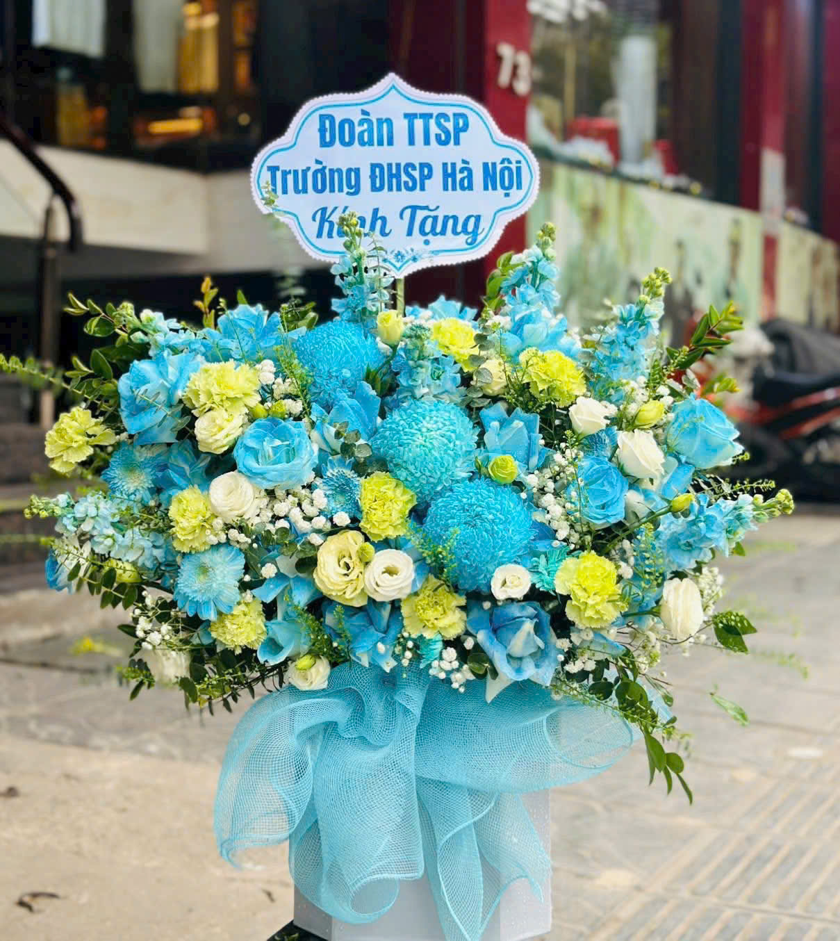 G15 Lãng hoa tone xanh dương mạnh mẽ